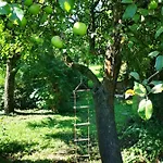 Lóci Palócház Nyaraló Nagylóc