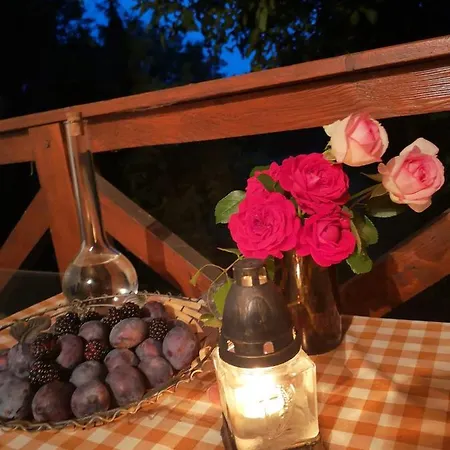 Holiday home Loci Palochaz Nagyloc