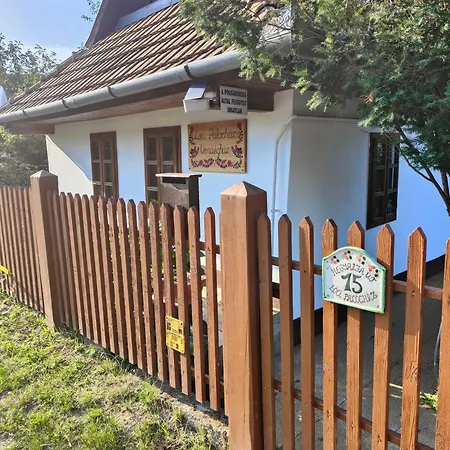 Dom wakacyjny Loci Palochaz Nagyloc