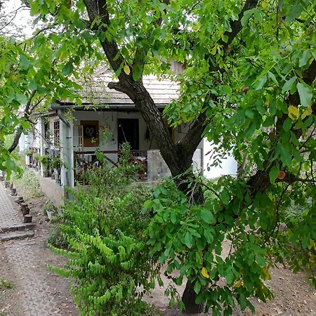 Loci Palochaz Nagyloc