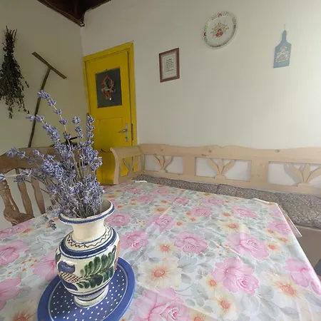 Loci Palochaz Tatil Evi