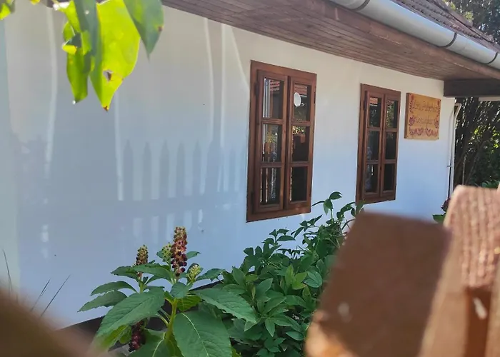 Loci Palochaz Nagyloc